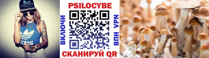 Псилоцибиновые грибы мицелий  Верхняя Пышма 
