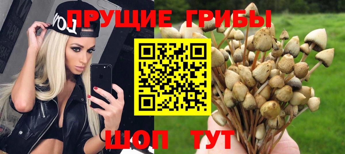 Галлюциногенные грибы GOLDEN TEACHER Верхняя Пышма