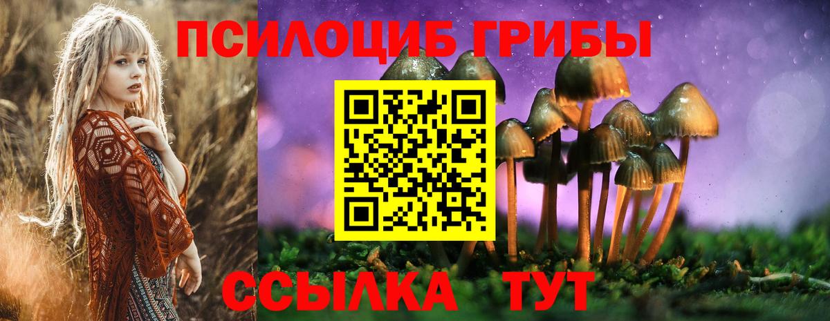 Галлюциногенные грибы Psilocybe  Галлюциногенные грибы MAGIC MUSHROOMS  хочу   Вход с VPN  Верхняя Пышма 