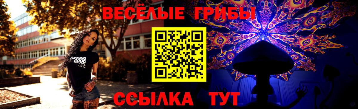 продажа наркотиков  Верхняя Пышма  Псилоцибиновые грибы Cubensis 